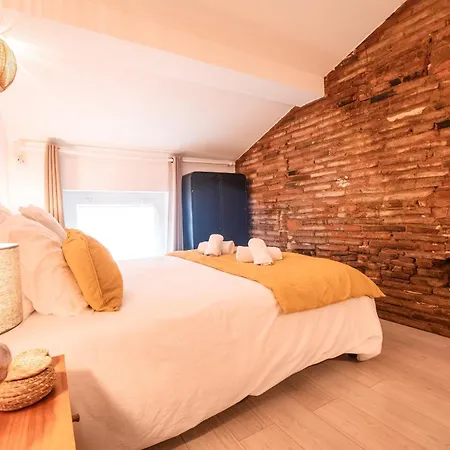 Apartment Le Duplex - Clim - Parking - Wifi Montauban
