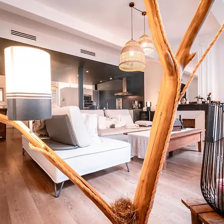 Le Duplex - Clim - Parking - Wifi Apartment Montauban
